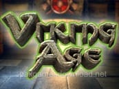 وائکنگ ایج